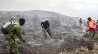Mereka berjibaku untuk melawan api yang melalap hutan kawasan gunung tertinggi di benua Afrika tersebut sejak Minggu (11/10/2020). Angin besar yang bertiup di kawasan ini membuat kebakaran makin besar.  