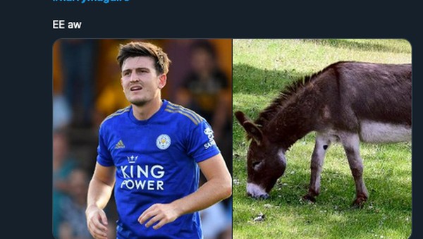 Meme Harry Maguire Habis Kena Ledek, Dibilang Keledai dan Kulkas