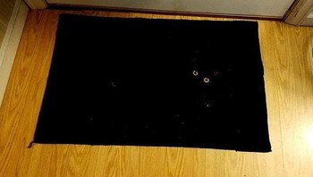 Kesetnya punya mata! Oh bukan, si kucing sedang tiduran di situ. Foto: BrightSide/Rico/Reddit