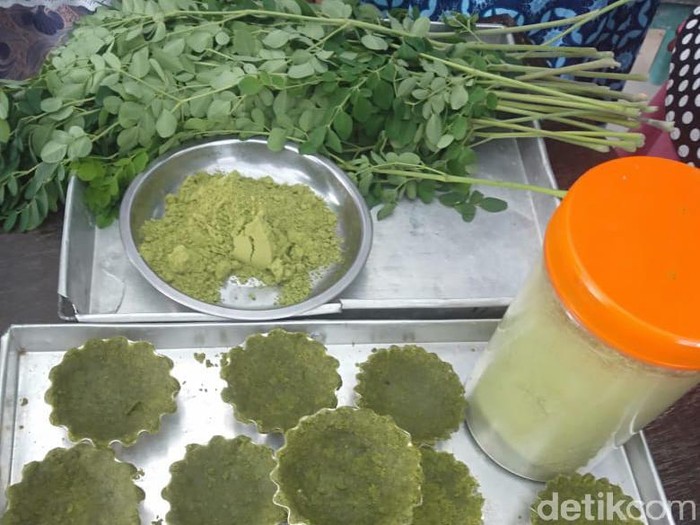 Ibu-Ibu Lamongan Ini Olah Kelor Jadi 9 Olahan Makanan
