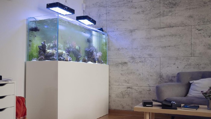 Living room with reef tank