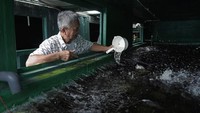 Arthur membangun lingkungan yang terkendali untuk tanaman dan ikan-ikannya di dalam kontainer. Seperti suhu, kelembapan, tingkat karbon dioksida, nutrisi dan cahaya, semuanya dapat disesuaikan dengan kebutuhan.  