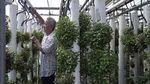 Kontainer Bekas Ini Jadi Lahan Beternak dan Berkebun