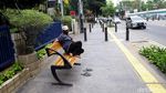 Melihat Kondisi Terkini Trotoar di Cikini