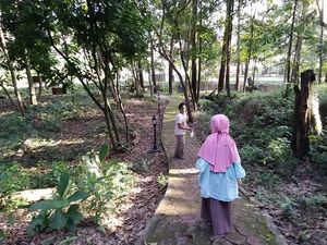 Mencari Ruang Terbuka Hijau di Masa Pandemi