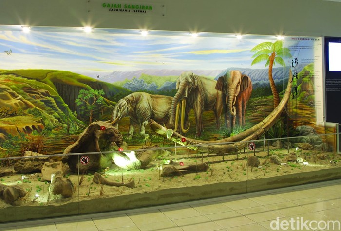 Museum purbakala di Sragen, Jateng.