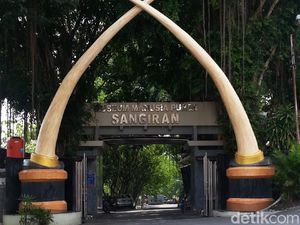 SangiRun Night Trail 2021, Peringatan 25 Tahun Situs Sangiran Masuk UNESCO