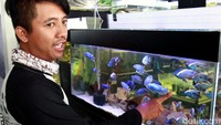 Salah satu pegawai Banteng Aquarium, Badru menjelaskan jika di Indonesia sendiri ikan chichlid serupa dengan ikan nila. Namun, ikan chichlid yang tersebar di luar negeri memiliki warna yang beragam.