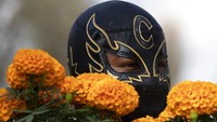 Saat musim panen tiba, para pegulat yang banting setir menjadi petani bunga itu pun sibuk mengumpulkan bunga-bunga marigold tersebut.