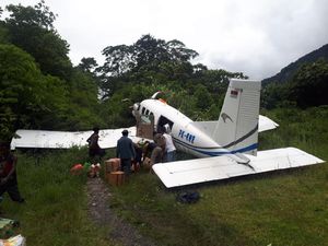 Pesawat Tariku Tergelincir Saat Mendarat di Paniai, Tabrak Semak-semak