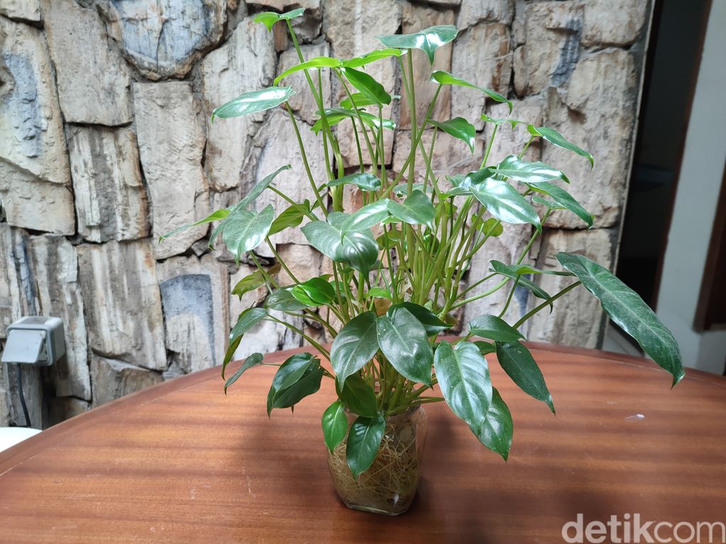 Realme 7 Pro