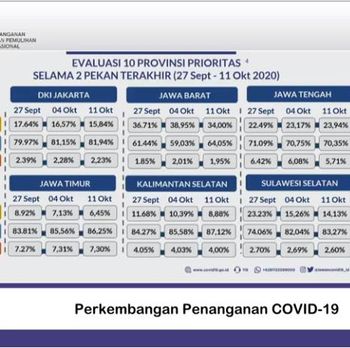Satgas COVID-19 Beri Perhatian Khusus ke Jateng-Papua-Bali, Ini Penyebabnya