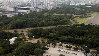 Rindangnya pepohonan juga membuat udara di taman Monas menjadi terasa sejuk. Rengga Sancaya/detikcom.