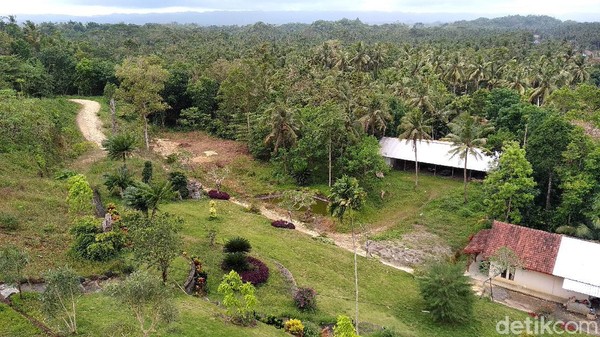 Potret Alam Pangandaran dari Puncak Bukit
