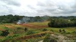 Potret Alam Pangandaran dari Puncak Bukit