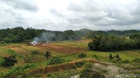 Hamparan sawah dengan segala aktivitas petani dan hijaunya hutan memberikan efek ketenangan bagi para pengunjung. Hembusan angin dan hawa sejuk memberikan kesegaran ditengah cuaca panas khas daerah pesisir. 