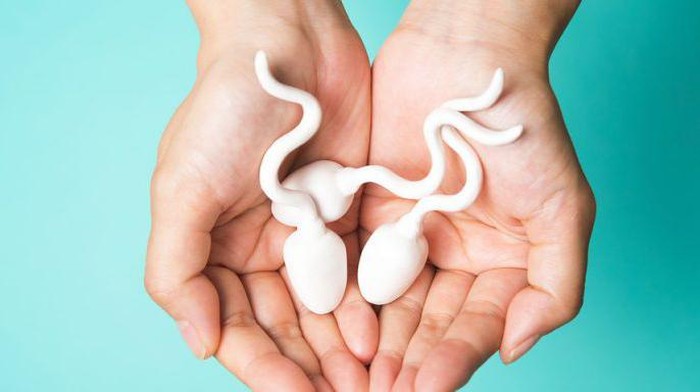 Duh! Pria Ini Dipenjara Karena Ketahuan Menaruh Air Mani di Makanan Wanita