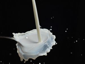 Wanita Ini Alergi dengan Air Mani, Diduga Gara-gara Pasangan Makan Kacang