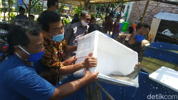 Eks napi kasus terorisme, Sri Pujimulyo Siswanto (47), berusaha agar bisa kembali diterima di masyarakat, Semarang, Kamis (15/10/2020).