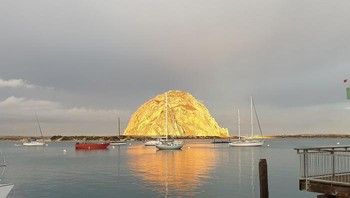Seperti gundukan emas ya? Tapi sayang bukan, ini adalah Moro Rock di California, AS. Foto: Bored Panda