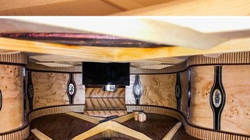 Hotel mewah? Ini di dalam gitar. Foto: Bored Panda