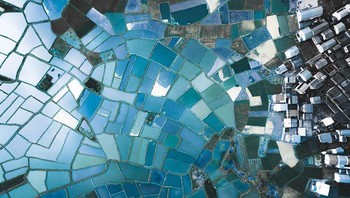 Pecahan kaca? Maaf salah, ini adalah sawah yang dilihat dari angkasa. Foto: Bored Panda