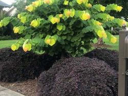 Foto Ini Harus Dilihat Dua Kali Agar Tidak Salah Mengerti