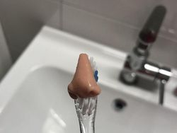 Foto Ini Harus Dilihat Dua Kali Agar Tidak Salah Mengerti