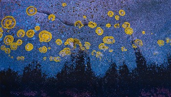 Lukisan? Yakin? Itu adalah batu yang basah. Foto: Bored Panda