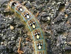 Foto Ini Harus Dilihat Dua Kali Agar Tidak Salah Mengerti