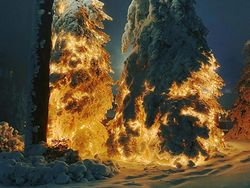 Foto Ini Harus Dilihat Dua Kali Agar Tidak Salah Mengerti