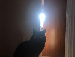 Foto Ini Harus Dilihat Dua Kali Agar Tidak Salah Mengerti