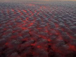 Foto Ini Harus Dilihat Dua Kali Agar Tidak Salah Mengerti