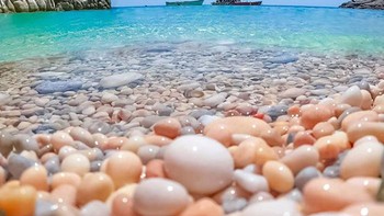 Bukan teluir tapi hanya batu. Foto: Bored Panda