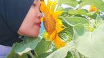 Potret Eropa di Serang
