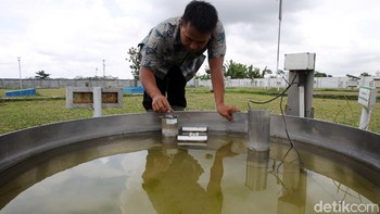 Open pan evaporimeter berfungsi untuk mengukur penguapan pada periode waktu tertentu. Alat ini berupa sebuah panci bundar besar. (Pius Erlangga/detikcom)