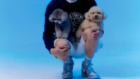 Nam Joo Hyuk sukses memerankan banyak judul drama. Beberapa yang terkenal adalah Who Are You: School 2015, Weightlifting Fairy Kim Bok-joo, dan The Bride of Habaek and The Light in Your Eyes. Foto: Instagram skawngur
