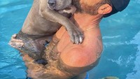 Justin Theroux juga dikenal sebagai artis yang penyayang hewan. Lihatlah saat dia mencium Kuma, anjing yang diadopsinya ini. 