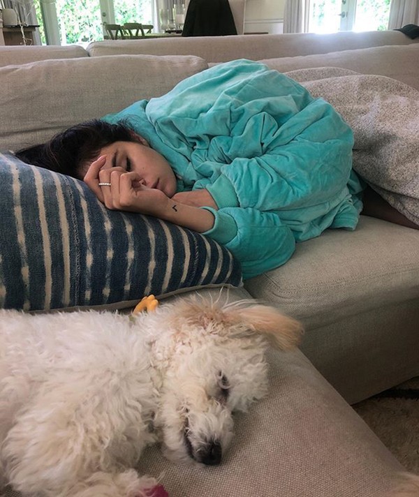 Selena Gomez dikenal sebagai pecinta anjing. Buktinya dia telah mengadopsi 7 anjing sejauh ini. Nih saat Selena tertidur di sofa dengan Winnie.