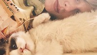 Taylor Swift juga punya hewan peliharaan bernama Benjamin, seekor kucing. Mereka bertemu di salah satu set videonya Taylor saat syuting.