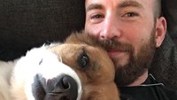 Potret Chris Evan dengan anjing adopsinya yang bernama Dodger. Konon mereka bertemu di salah satu proyek film yang sedang dilakukan Christ.
