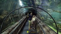 Terhitung awal pekan lalu, Gubernur DKI Jakarta Anies Baswedan juga kembali menerapkan PSBB transisi. Tempat wisata dibuka kembali, salah satunya Sea World Ancol, Jakarta, seperti terlihat Senin (12/10). Pradita Utama/detikcom