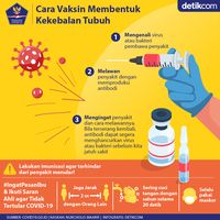 Cara Vaksin Bentuk Kekebalan Tubuh