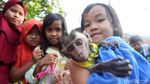 Kisah Andi Merawat 9 Monyet di Karawang