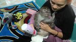 Kisah Andi Merawat 9 Monyet di Karawang
