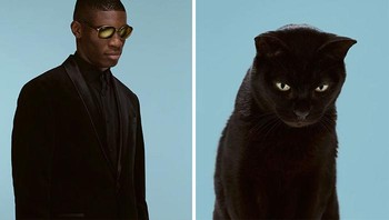 Contohnya, saat Gethings sedang mengatur peralatannya kucing tersebut akan berpose dengan cantik. Tapi begitu ia mengeluarkan kamera, kucing itu langsung kabur. Foto: Gerrard Gethings