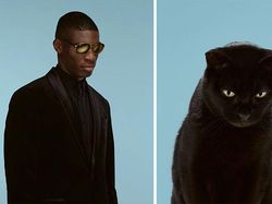 Potret Gemas Kucing dan Manusia yang Seperti Kembar