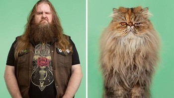 Tantangan lainnya saat memotret kucing adalah mereka tidak memiliki ekspresi wajah sebanyak anjing. Kucing juga tidak mudah dipancing dengan makanan, berbeda dengan anjing. Foto: Gerrard Gethings