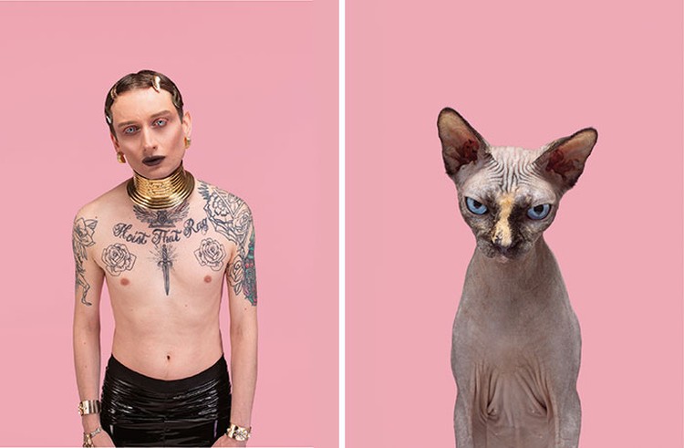 Manusia dan kucing yang mirip
