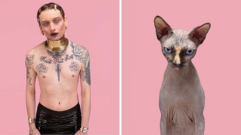 Sebagai fotografer hewan profesional, Gethings memiliki beberapa tips untuk mengambil foto kucing dan hewan-hewan lainnya. Foto: Gerrard Gethings